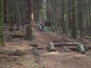 Mountain Biking/Scotland/Fetteresso/DSCF3030
