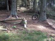 Mountain Biking/Scotland/Fetteresso/DSCF3036