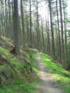 Mountain Biking/Scotland/Glentress (7Stanes)/DSC00621