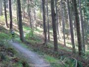 Mountain Biking/Scotland/Glentress (7Stanes)/DSC00646