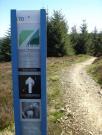 Mountain Biking/Scotland/Glentress (7Stanes)/DSC00845