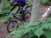 Mountain Biking/Scotland/Glentress (7Stanes)/DSCF0709