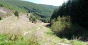 Mountain Biking/Scotland/Glentress (7Stanes)/Pano - 9