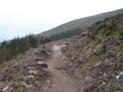 Mountain Biking/Scotland/Golspie/DSC00944