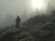 Mountain Biking/Scotland/Golspie/DSCF2586