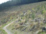 Mountain Biking/Scotland/Innerleithen (7Stanes)/DSC00729