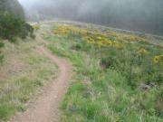 Mountain Biking/Scotland/Learnie Red Rock/DSC00998