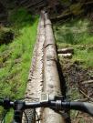 Mountain Biking/Scotland/Learnie Red Rock/DSC01025