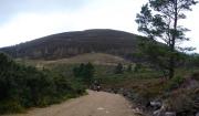 Mountain Biking/Scotland/Pitfichie Forest/Pano4