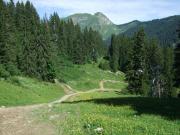Mountain Biking/The Alps/Saturday/DSCF1323