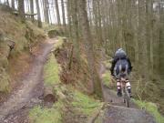 Mountain Biking/Wales/Afan Forest Park/Penhydd Trail/DSC00219