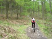 Mountain Biking/Wales/Afan Forest Park/Penhydd Trail/DSC07264
