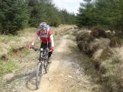 Mountain Biking/Wales/Afan Forest Park/Penhydd Trail/DSC07271
