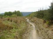 Mountain Biking/Wales/Afan Forest Park/Penhydd Trail/DSC07274