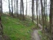 Mountain Biking/Wales/Afan Forest Park/Penhydd Trail/DSC07286