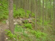 Mountain Biking/Wales/Afan Forest Park/Penhydd Trail/DSC07303
