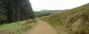 Mountain Biking/Wales/Afan Forest Park/Penhydd Trail/Pano_3