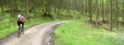 Mountain Biking/Wales/Afan Forest Park/Penhydd Trail/Pano_4