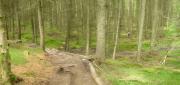 Mountain Biking/Wales/Afan Forest Park/Penhydd Trail/Pano_9