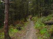 Mountain Biking/Wales/Afan Forest Park/Skyline Trail/DSC05496
