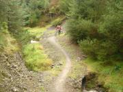 Mountain Biking/Wales/Afan Forest Park/Skyline Trail/DSC05501