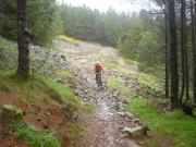 Mountain Biking/Wales/Afan Forest Park/Skyline Trail/DSC05506