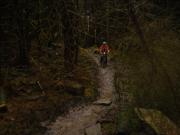 Mountain Biking/Wales/Afan Forest Park/Skyline Trail/DSC05509