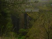Mountain Biking/Wales/Afan Forest Park/The Wall/DSC07308