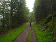 Mountain Biking/Wales/Afan Forest Park/The Wall/DSC07309