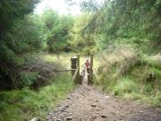 Mountain Biking/Wales/Afan Forest Park/Whites Level Trail/DSC05535