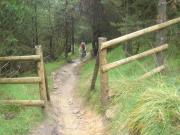 Mountain Biking/Wales/Afan Forest Park/Whites Level Trail/DSC05536