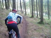 Mountain Biking/Wales/Afan Forest Park/Whites Level Trail/DSC05552
