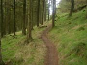 Mountain Biking/Wales/Afan Forest Park/Whites Level Trail/DSC05554
