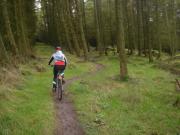 Mountain Biking/Wales/Afan Forest Park/Whites Level Trail/DSC05555