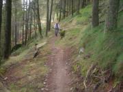 Mountain Biking/Wales/Afan Forest Park/Whites Level Trail/DSC05556