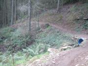 Mountain Biking/Wales/Afan Forest Park/Whites Level Trail/DSC05557