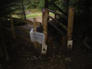 Mountain Biking/Wales/Afan Forest Park/Whites Level Trail/DSC08751
