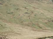 Mountain Biking/Wales/Betws-Y-Coed/Capel Curig/DSCF8953