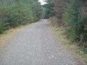 Mountain Biking/Wales/Betws-Y-Coed/Marin Trail/DSC06149