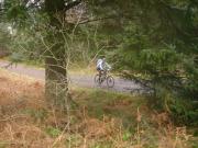 Mountain Biking/Wales/Betws-Y-Coed/Marin Trail/DSC06156