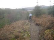 Mountain Biking/Wales/Betws-Y-Coed/Marin Trail/DSC06168