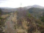 Mountain Biking/Wales/Betws-Y-Coed/Marin Trail/DSC06170