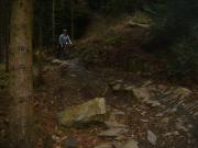 Mountain Biking/Wales/Betws-Y-Coed/Marin Trail/DSC06171