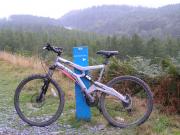 Mountain Biking/Wales/Betws-Y-Coed/Marin Trail/P9050005