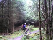 Mountain Biking/Wales/Betws-Y-Coed/Marin Trail/P9050012