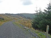 Mountain Biking/Wales/Betws-Y-Coed/Penmachno Trail/DSC00048