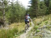 Mountain Biking/Wales/Betws-Y-Coed/Penmachno Trail/DSC00070