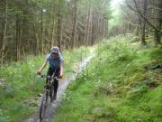 Mountain Biking/Wales/Betws-Y-Coed/Penmachno Trail/DSC08326