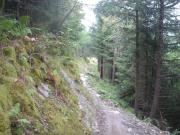 Mountain Biking/Wales/Betws-Y-Coed/Penmachno Trail/DSC08328