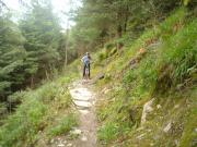 Mountain Biking/Wales/Betws-Y-Coed/Penmachno Trail/DSC08329